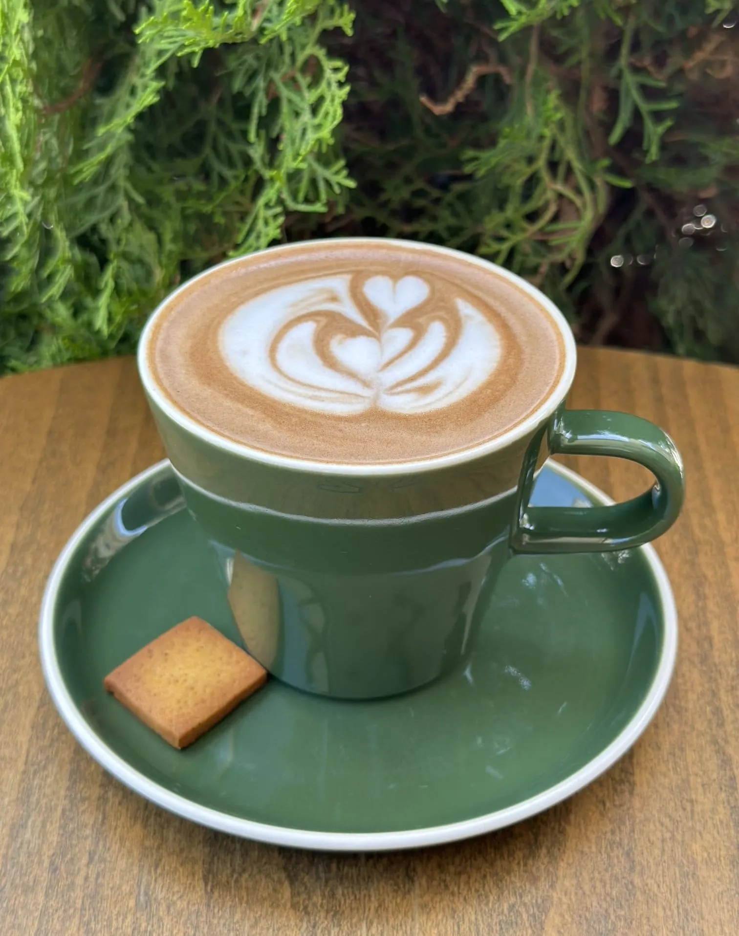 Cafe Coffee (Soğuk)